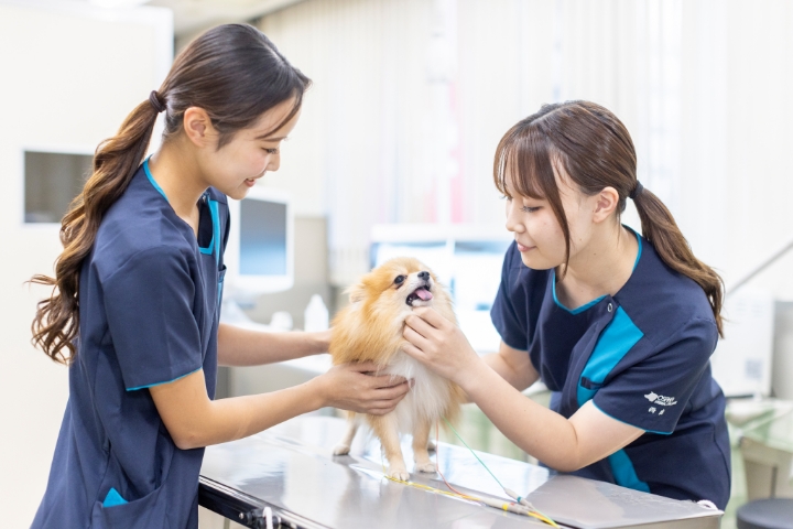 動物看護実習室_02