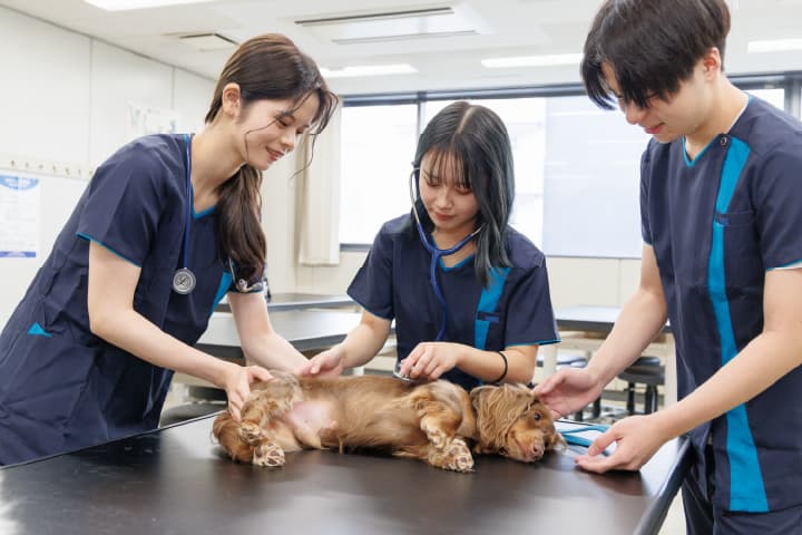 動物看護実習室_02