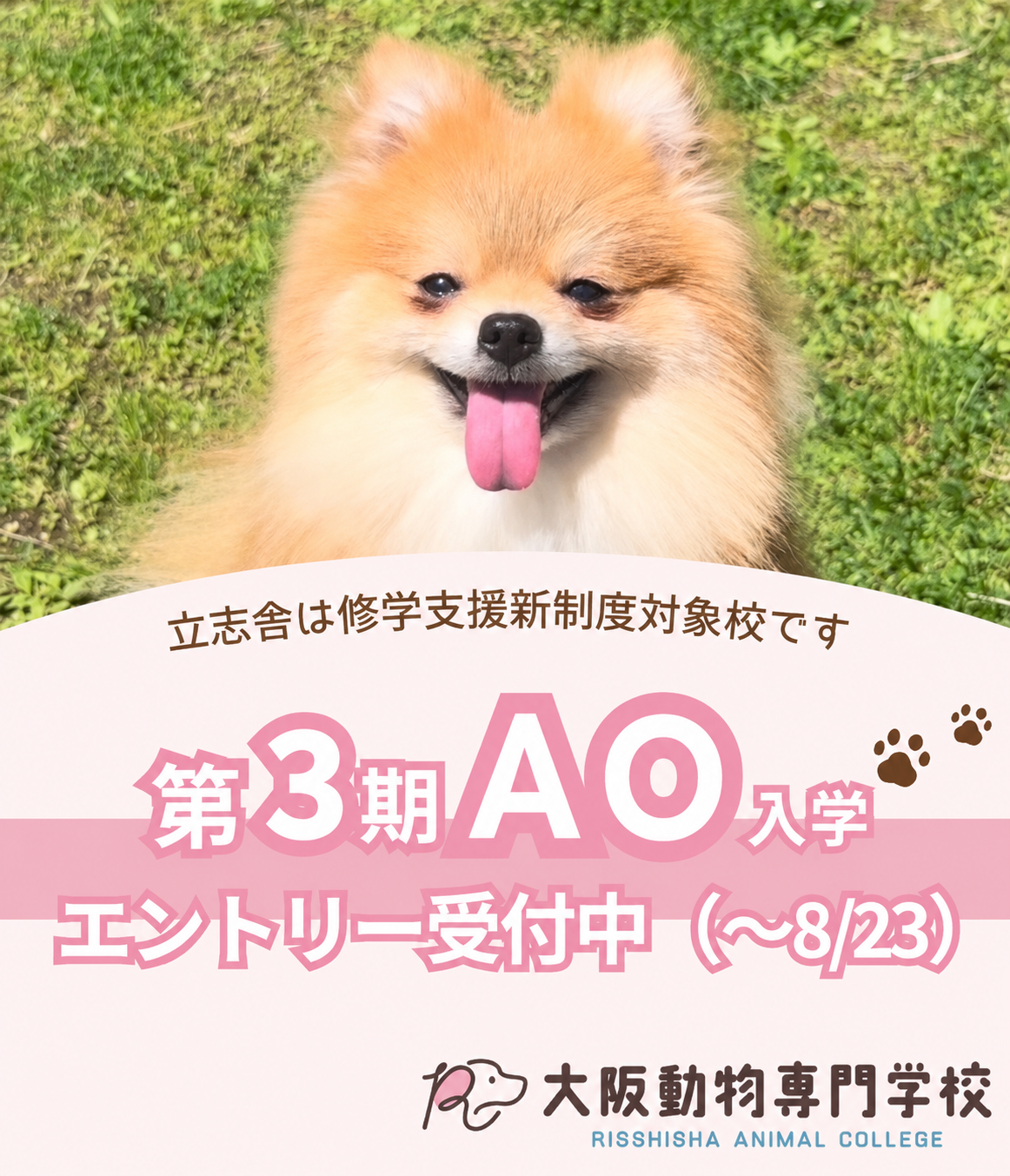大阪動物専門学校のキャンパス